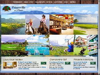 Web site www.princeville.com, Princeville Corp